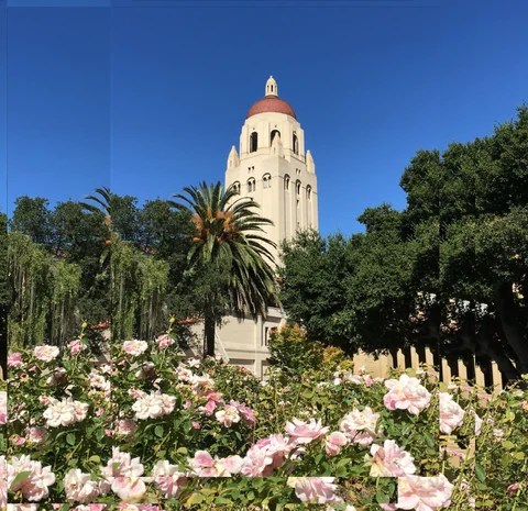 the Best Global Stanford University